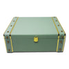 Pastel Green Leather Suitcase - Pack of 5