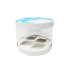 Marble print Transparent Cupcake box